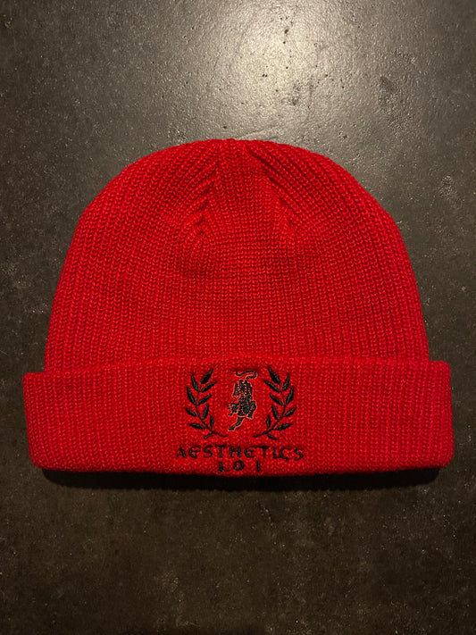 AESTHETICS 101 BEANIE-BLOOD